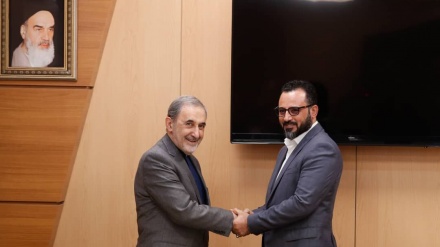 韦拉亚提：伊朗和伊拉克是该地区抵抗的轴心