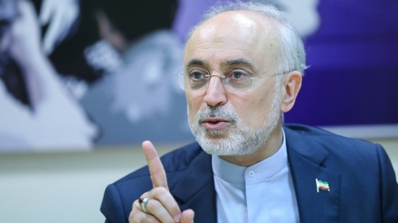 صالحی: ایران گسترش برنامه صلح آمیز هسته ای خود را ادامه می دهد