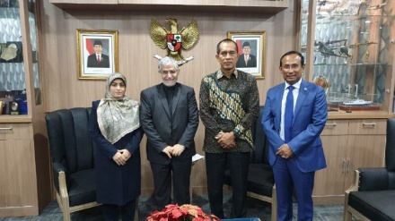 伊朗和印度尼西亚强调扩大合作