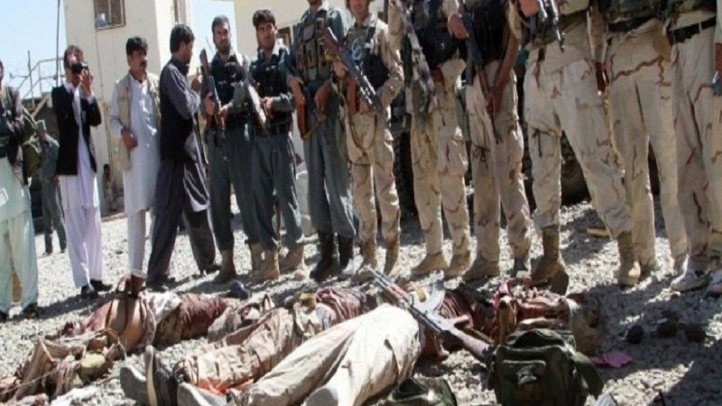 کشته شدن 226 عضو طالبان در درگیری با ارتش افغانستان