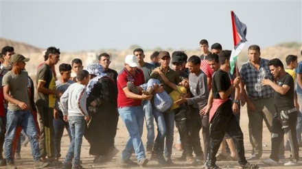55 Warga Palestina Cidera di Pawai Jumat ke 74 Hak Kepulangan