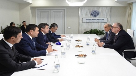 Ўзбекистон энергетика вазири МАГАТЭ бош директори ўринбосарини қабул қилди