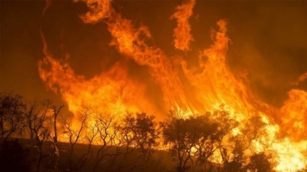 Dal G7 fondo 20 milioni per l'Amazzonia