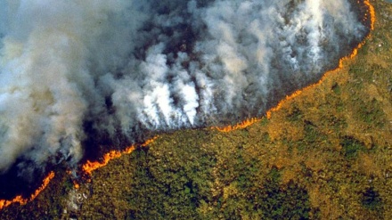 Zjarret në Amazonë 