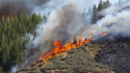 Spagna: continuano incendi alle Canarie