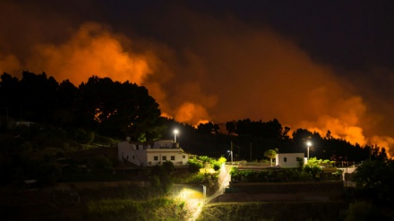 Más de 2.000 evacuados por nuevo incendio en Gran Canaria