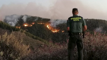 Evacuaciones masivas en la isla de Gran Canaria por culpa de los incendios forestales