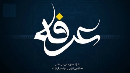  روز عرفه؛ روز نیایش و بخشش گناهان
