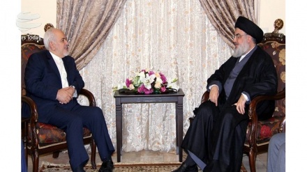 Uungaji mkono wa Shekhe wa Muqawama kwa diplomasia ya Zarif