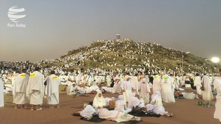 Peregrinos de Hach suben al Monte Arafat(Video+Fotos)