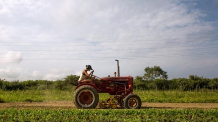 L’ira dei farmer contro Trump: i sussidi arrivano solo ai grandi