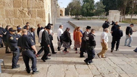 犹太复国主义定居者非法进入被归于先知约瑟夫之墓