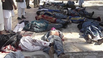 کشته شدن 113 عضو گروه طالبان در افغانستان 