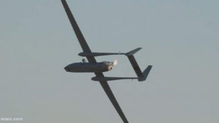 犹太复国主义无人机在加沙被击落