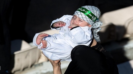 Celebran ceremonia mundial de Bebes de Husein en 40 países+Fotos