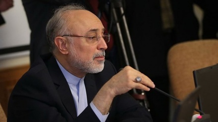 Salehi: Iran dan Perancis Tengah Menyusun Kerja Sama Sains 