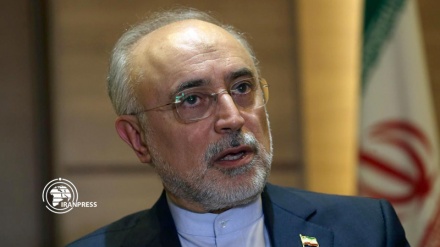 Salehi Bertolak ke Wina 