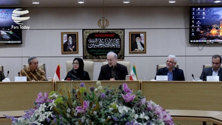 伊朗和印度尼西亚强调扩大卫生合作