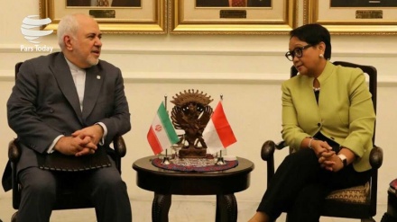 伊朗和印度尼西亚外长强调扩大双边合作
