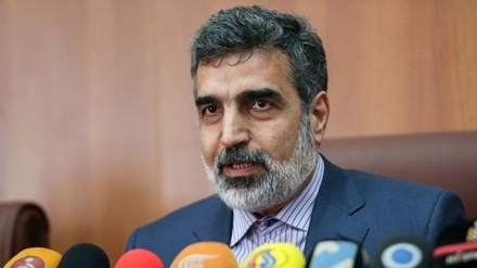 Iran identifies perpetrators of sabotage at Natanz nuclear facility: AEOI spokesman