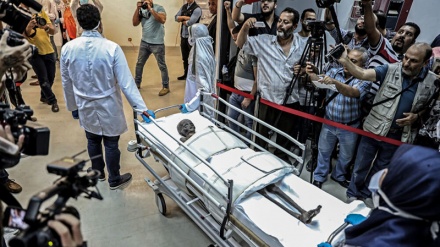 Mumiet e reja në Muzeun Kombëtar të Egjiptit