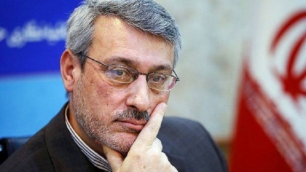 巴伊迪•内贾德：怀有敌意者误解了伊朗对“阿德里安•达里亚一号”的承诺