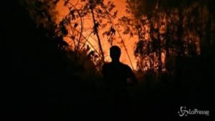 Emergenza incendi, brucia anche l'Indonesia