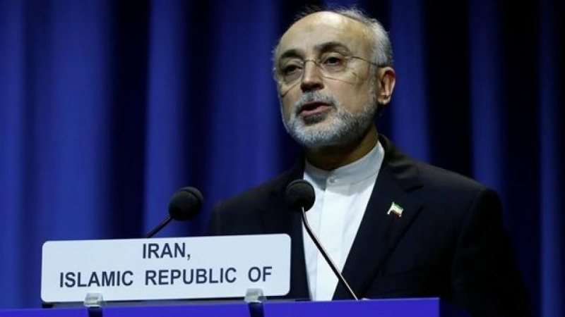 Салехи: Иран бейбіт мақсатты ядролық бағдарламасын кеңейтуді жалғастырады