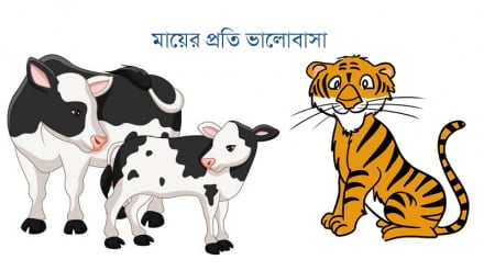 রংধনু আসর: মায়ের প্রতি ভালোবাসা