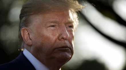 Trump dy anët e monedhës (6)
