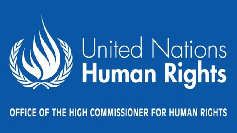  مخالفت با نامزدی بحرین برای ریاست بر شورای حقوق بشر سازمان ملل 