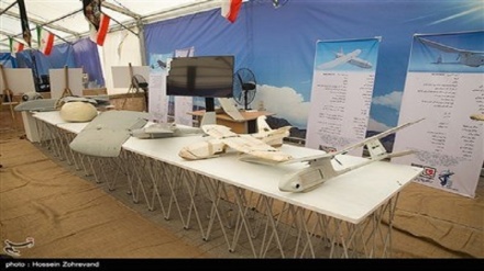 گزارش ویدئویی : نمایشگاه شکار کرکس‌ها