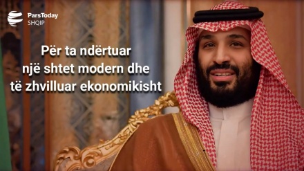 Sulmet e jemenasëve prishin planet e Bin Selmanit