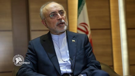 Salehi: Irán-Francia están redactando acuerdos de cooperación científica 