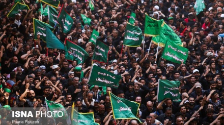 La célébration de l'Achoura à Karbala