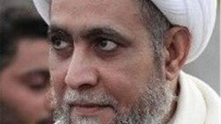 Saudi regime sentences Shia Muslim religious scholar to 12 years in prison
