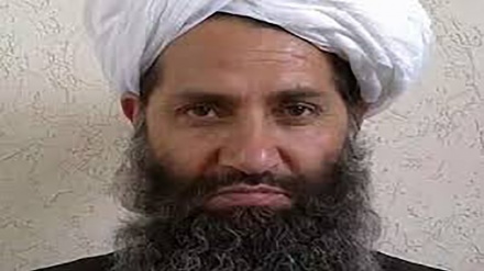 انس حقانی: خطر پهپادهای آمریکایی مانع حضور عمومی رهبر طالبان است