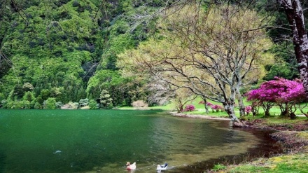 Irán en imágenes (Lago Shur Mast)