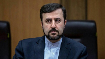 Eligen a representante iraní en Viena como vicepresidente de  la ONUDI