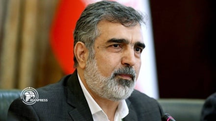 Kemalvedi: İki yıla kadar Buşehr Santralin tamirinde dışa bağımsız oluruz