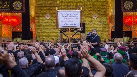 Grupet e zimbajtjes për Imam Husejnin (a.s.) në Qerbela