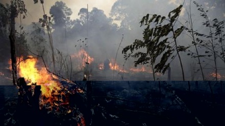 Rogo in Amazzonia, appello all'esercito