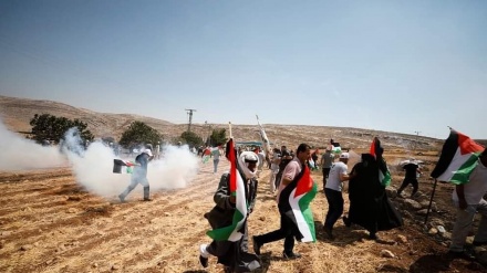 Polisi Israel Tembak Seorang Wanita Palestina