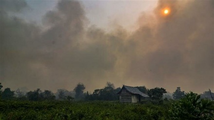 Malaysia, Indonesia shut thousands of schools over toxic haze from forest fires 