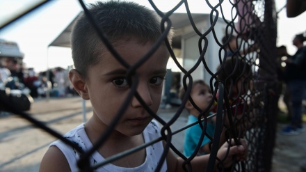 Greqia nuk u jep trajtim mjekësor fëmijëve emigrantë