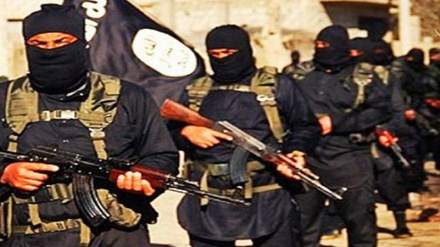 Democrats helped cultivate the barbarism of Daesh (1)