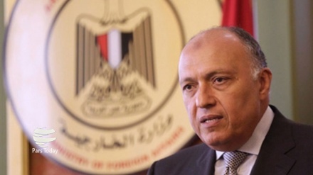 Mesir Dukung Solusi Politik untuk Akhiri Krisis Yaman