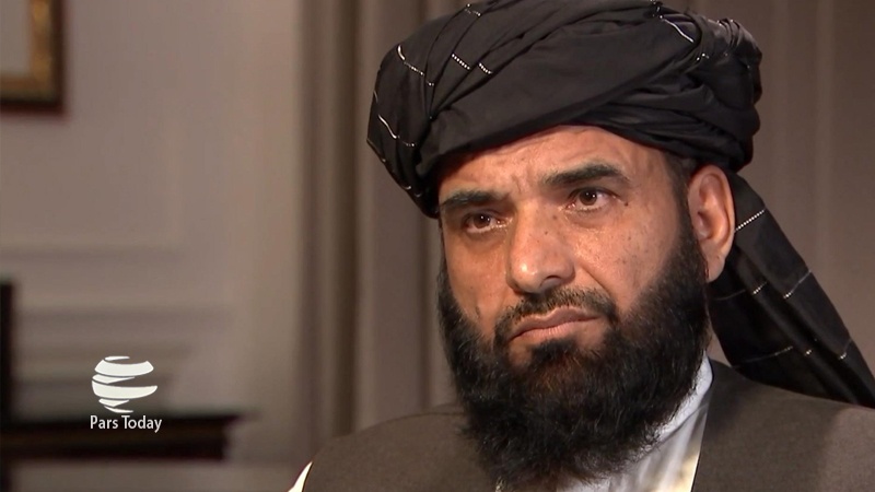 شاهین: همسایه ها در به رسمیت شناختن طالبان پیش قدم شوند