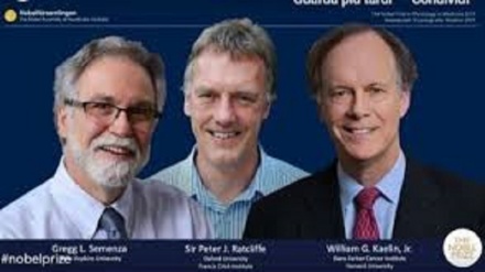 Il Nobel per la Medicina 2019 a Kailin, Ratcliffe e Semenza