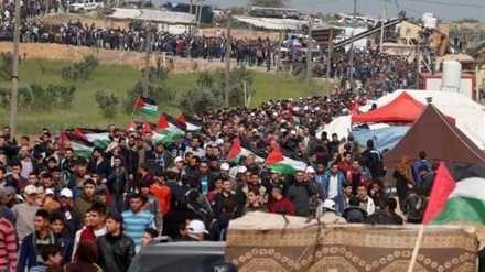 Unos 49 palestinos resultan heridos por fuerzas israelíes en Gaza +Fotos